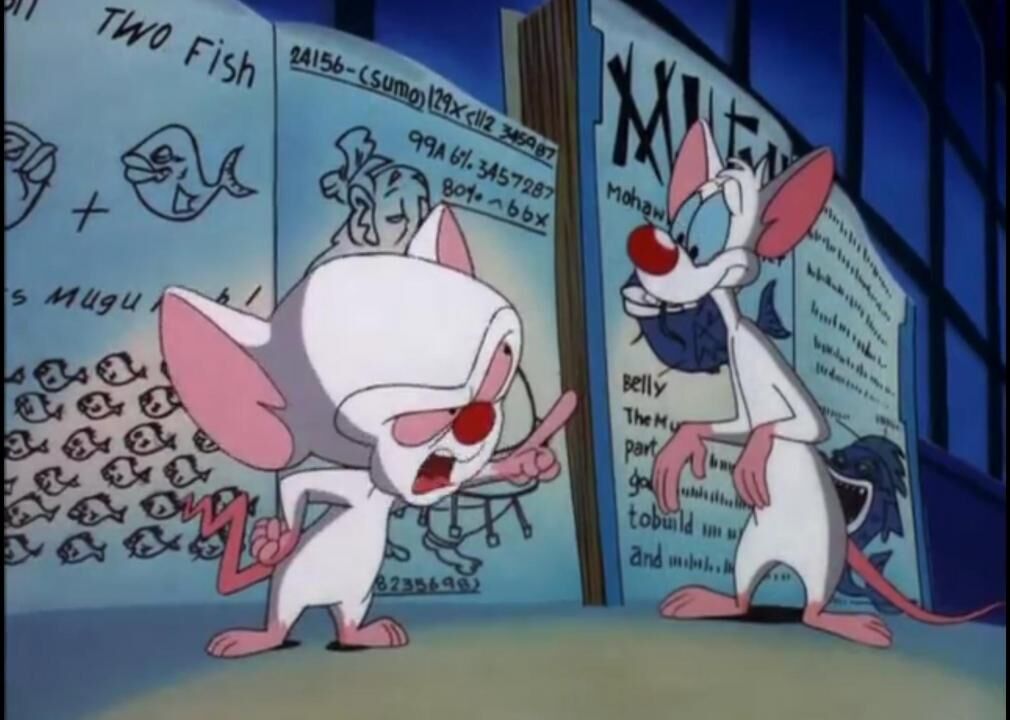 #60. Pinky and the Brain (1995–1998)